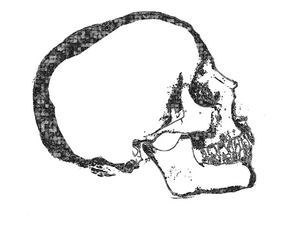 skull2